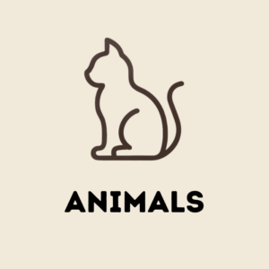 Animals