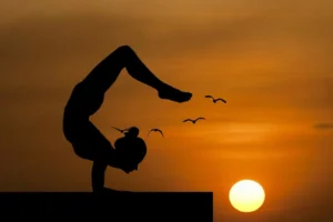 Silhouetted acrobat balancing on one hand against an orange sunset with birds in the sky.
