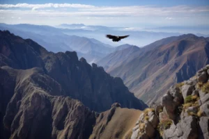 Condor soaring above a vast Andean mountain landscape with layered rocky ridges